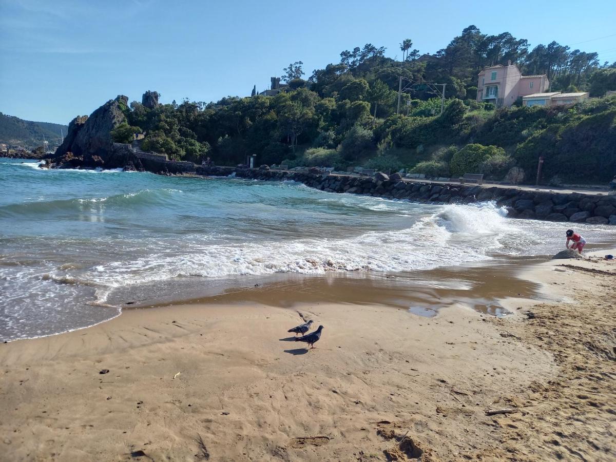 Villa Malibu Mandelieu Esterno foto